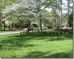 goodlawn[1]
