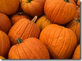 pumpkins